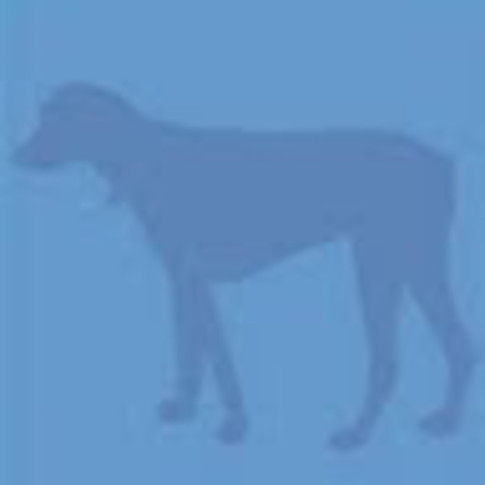 Meet your Posher, Blue